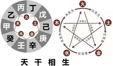 天干地支相沖|詳述天干地支的作用關系——合